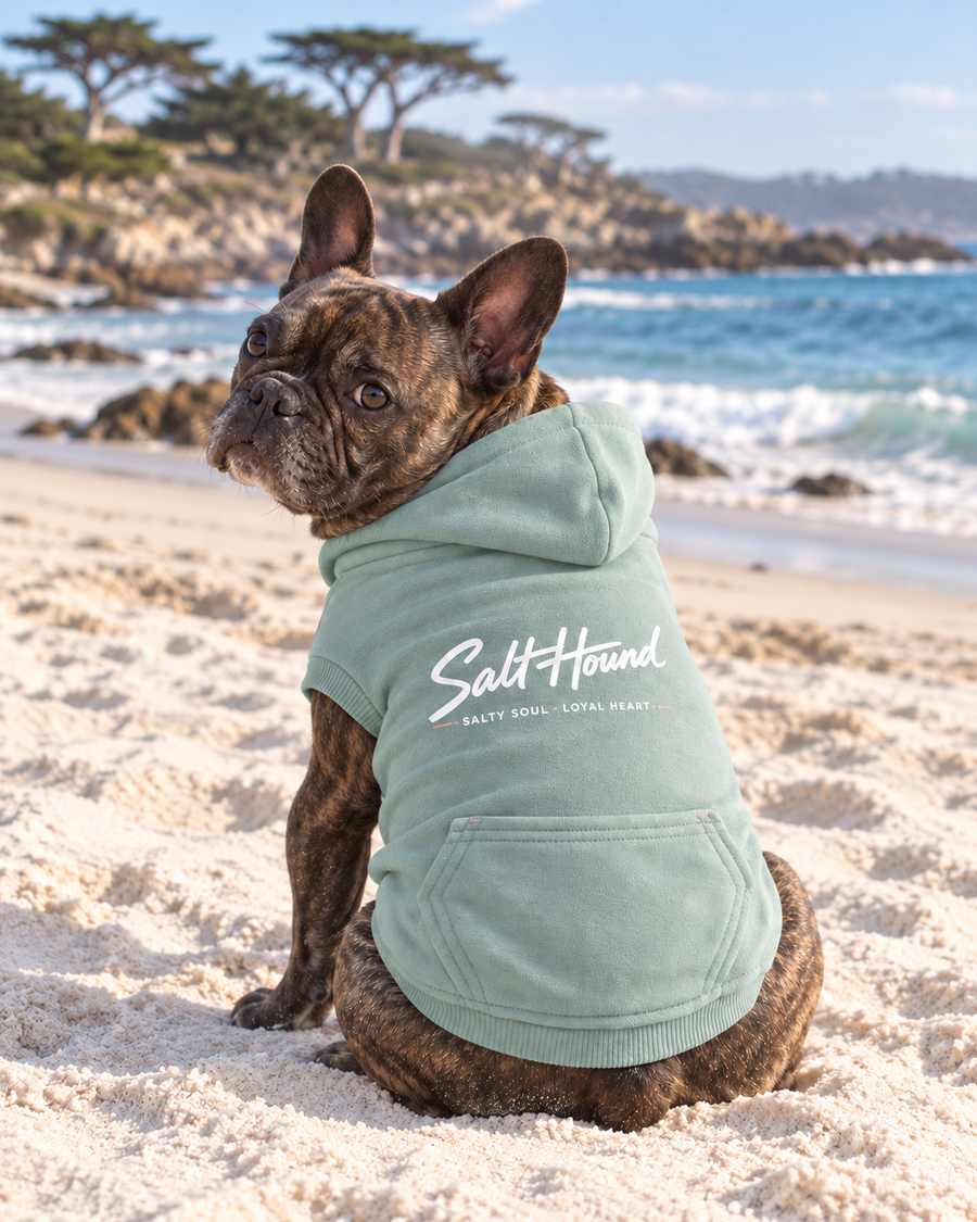 Dog Hoodies