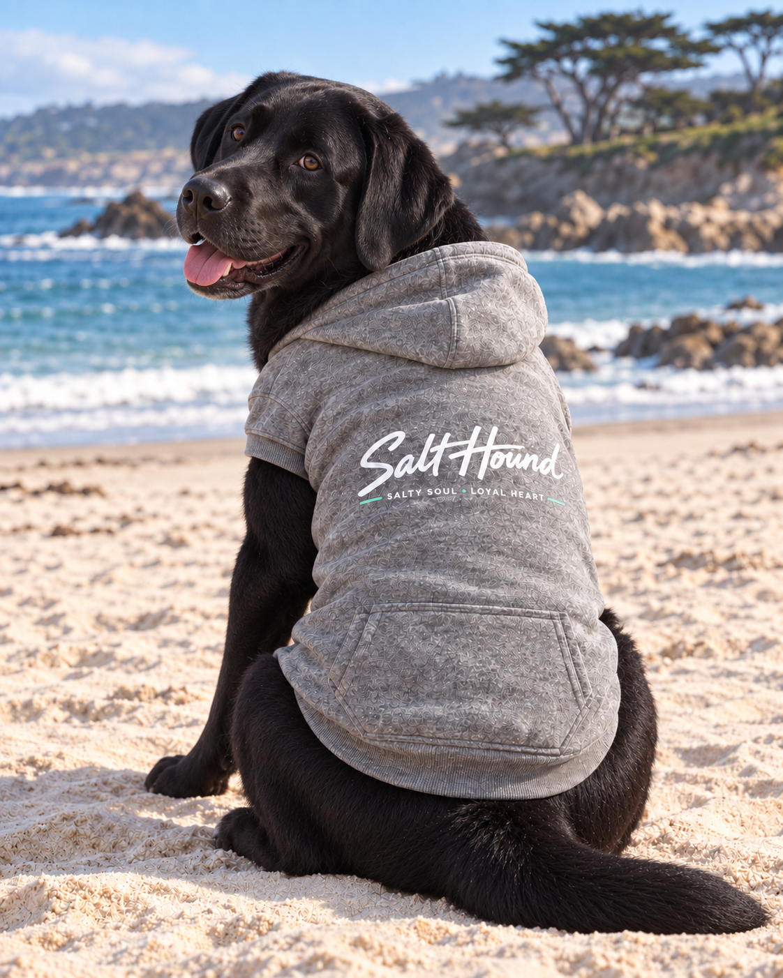 The Hound Hoodie