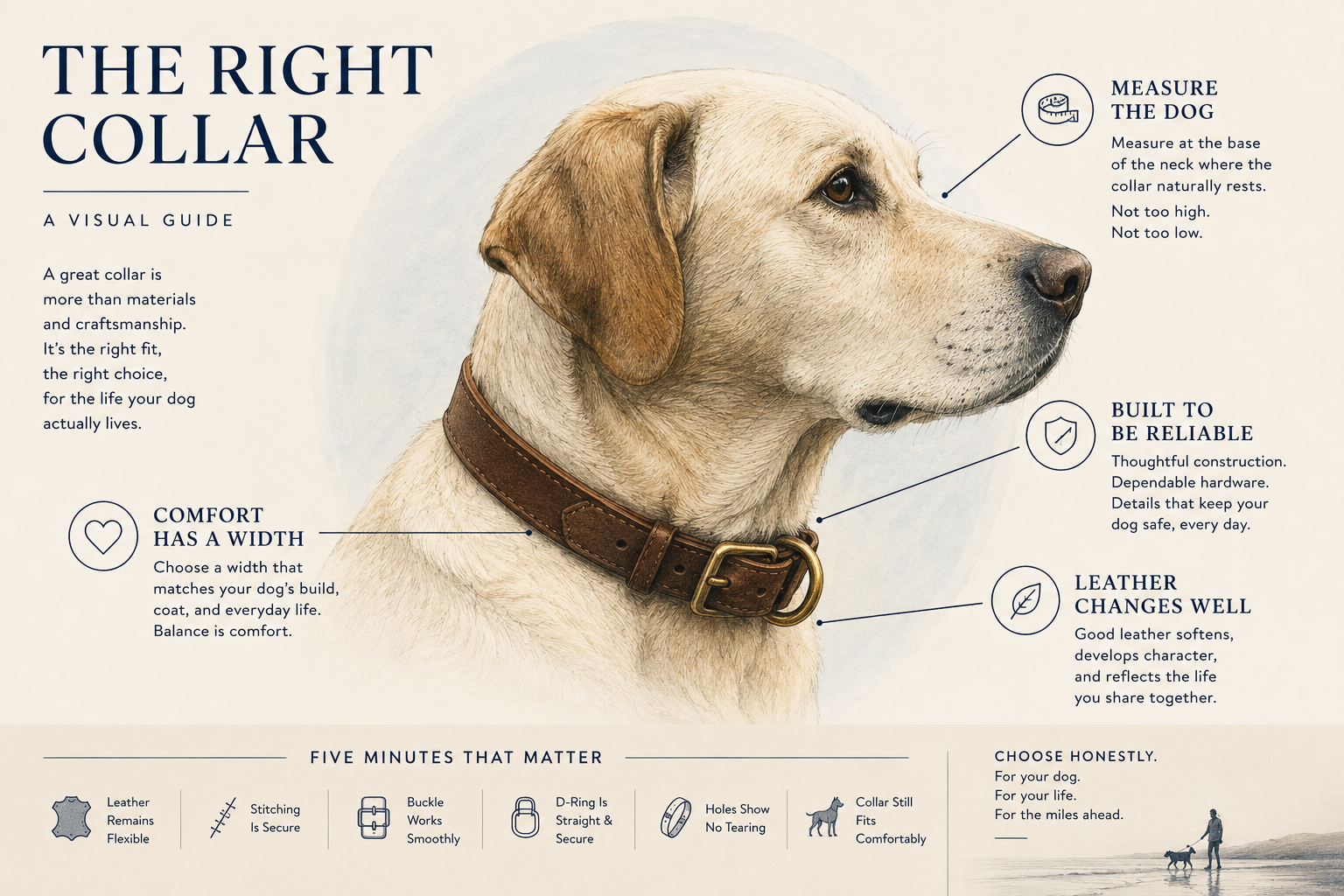 Illustrated field guide introducing the key questions for choosing a leather dog collar.