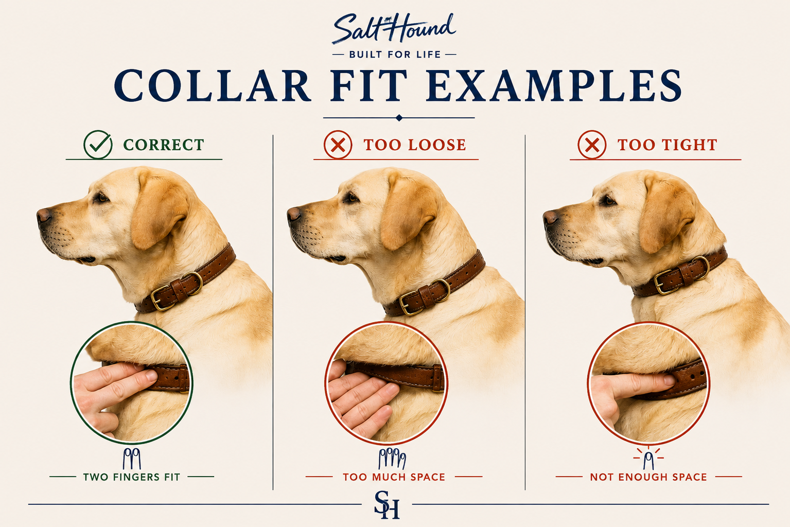 Six-question collar decision framework covering fit, lifestyle, material, construction, care and trust.